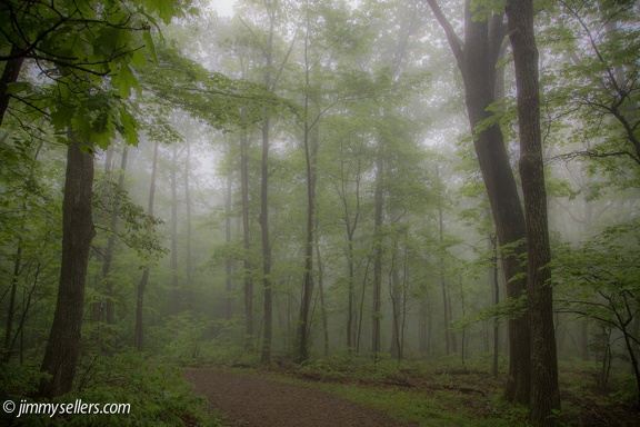 2014-05-Shenandoah-71