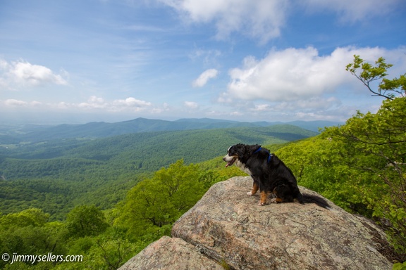 2014-05-Shenandoah-138