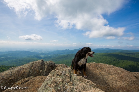 2014-05-Shenandoah-142