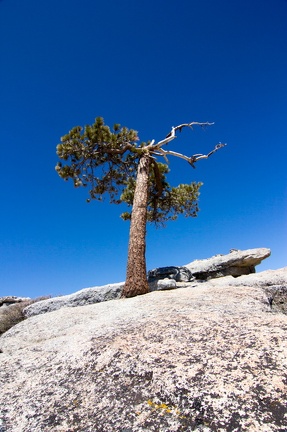 Yosemite-May-2013-233