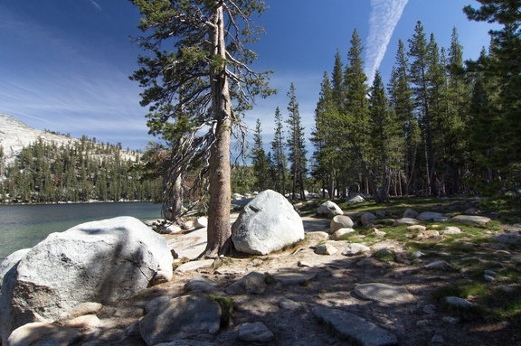 Yosemite-May-2013-769