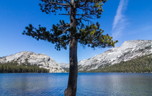 Yosemite-May-2013-780
