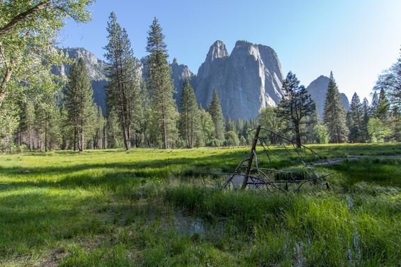 Yosemite-May-2013-1126