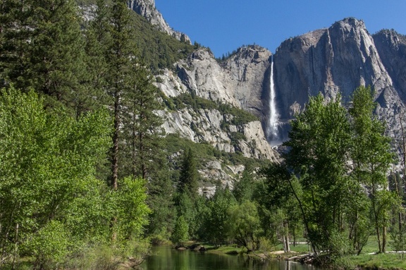 Yosemite-May-2013-1282