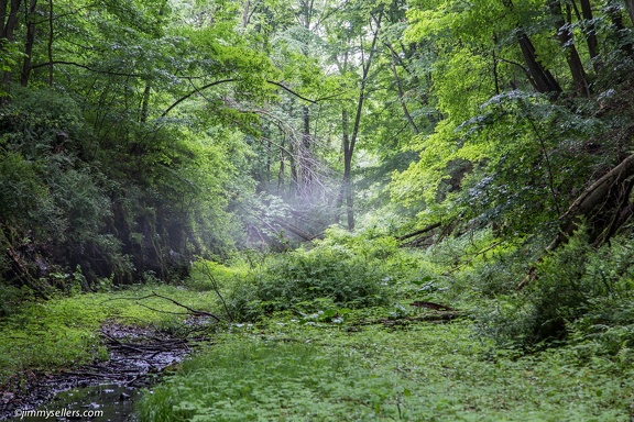 2015-05-31-geocaching-NJ-tunnels-27