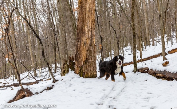 2015-03-21-CAM-2015-geocaching-Western-MD-24