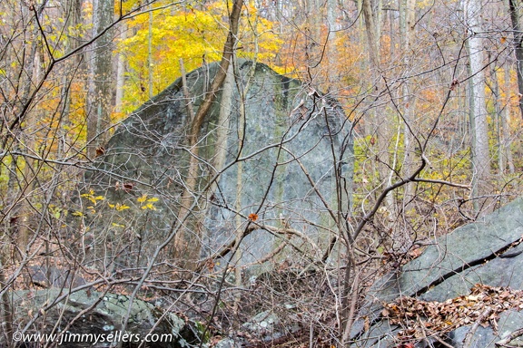 2013-11-09-Raiders-with-Josh-041