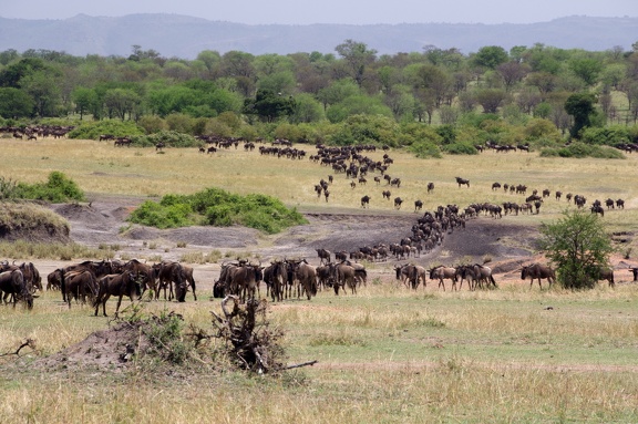 Africa-2013-065