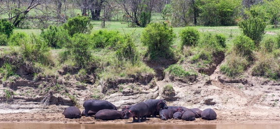 Africa-2013-112