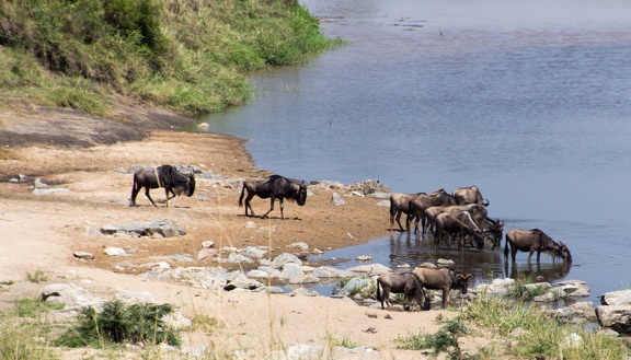 Africa-2013-408