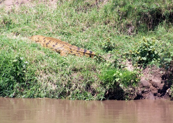 Africa-2013-543