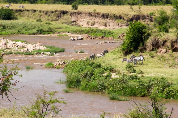 Africa-2013-573