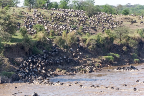 Africa-2013-765