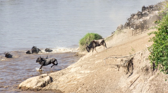 Africa-2013-783