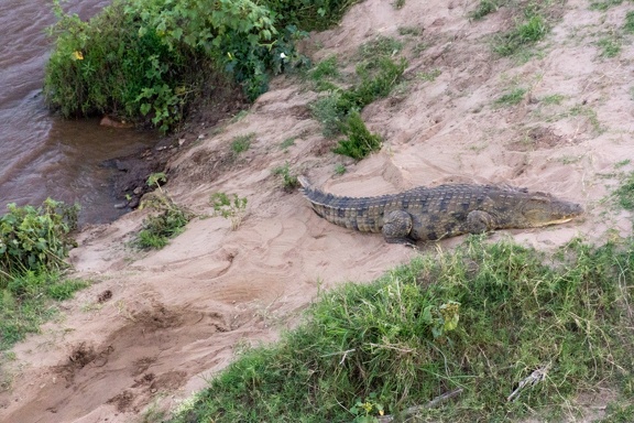 Africa-2013-853