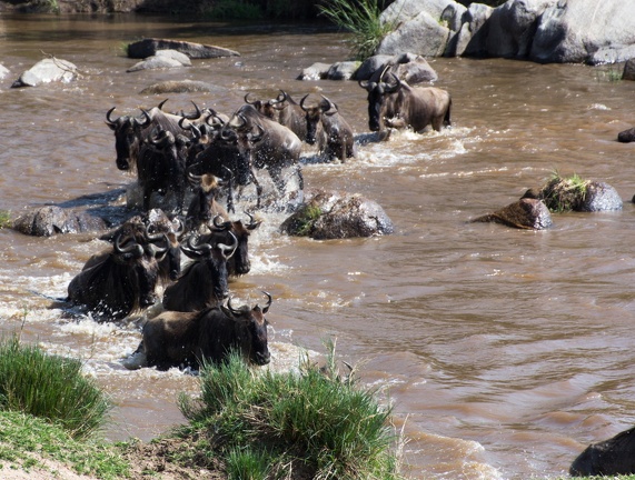 Africa-2013-1054