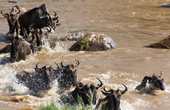 Africa-2013-1059