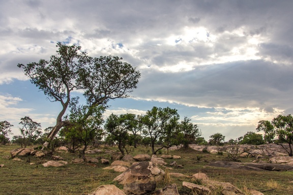 Africa-2013-1206