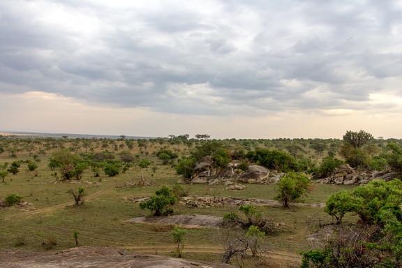 Africa-2013-1256