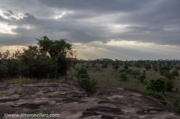 Africa-2013-1260