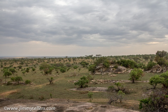 Africa-2013-1266