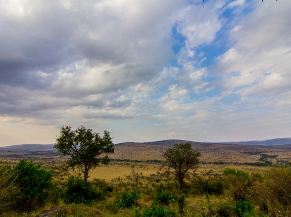 Africa-2013-1332