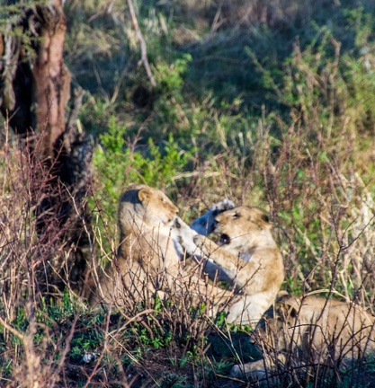 Africa-2013-1359