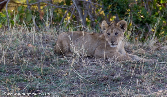 Africa-2013-1374