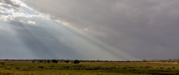 Africa-2013-1513