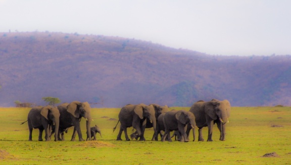 Africa-2013-1527