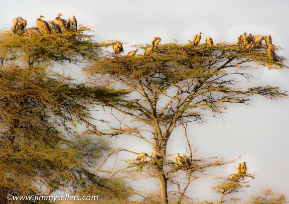 Africa-2013-1635