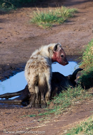 Africa-2013-1651