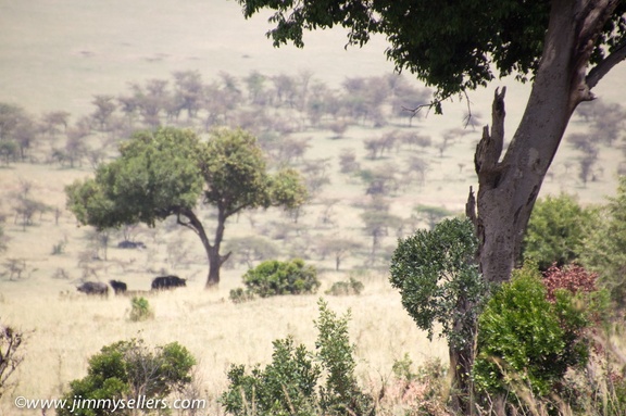 Africa-2013-1712