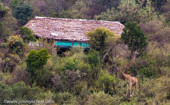 Africa-2013-1788