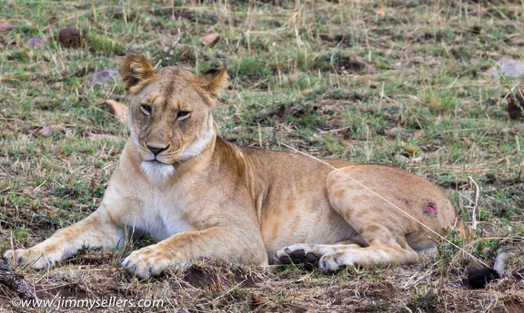 Africa-2013-1792