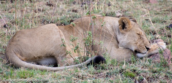 Africa-2013-1798