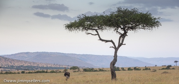 Africa-2013-1806