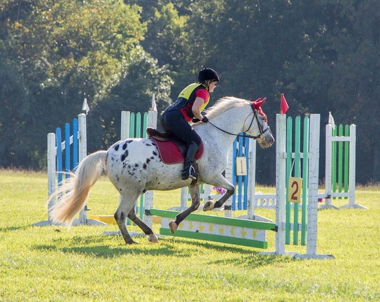 2016-08-27-Tanya-horse-event-Fair-Hill-174