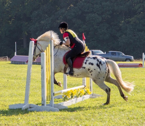 2016-08-27-Tanya-horse-event-Fair-Hill-183