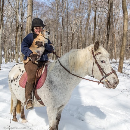2015-03-08-Tanya-horses-dogs-woods-snow-10