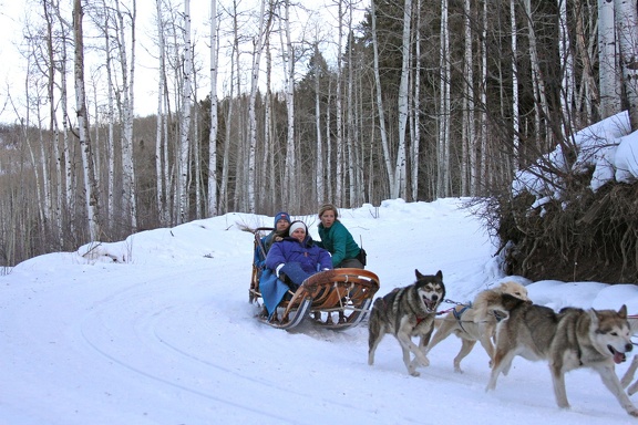 Winter-Carnival-2012-Aspen-Dog-Sled-4