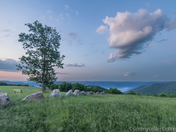 2022-06-01-bucktail-overlook-driftwood-262