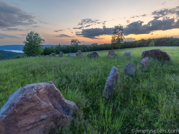 2022-06-01-bucktail-overlook-driftwood-264