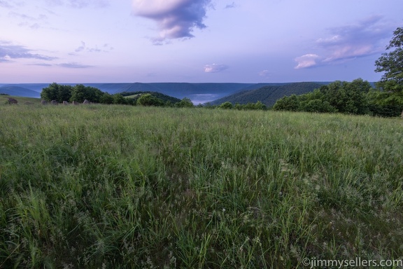 2022-06-01-bucktail-overlook-driftwood-266