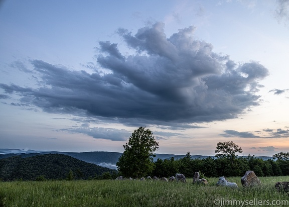 2022-06-01-bucktail-overlook-driftwood-274