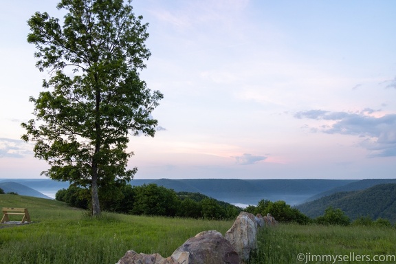 2022-06-01-bucktail-overlook-driftwood-275