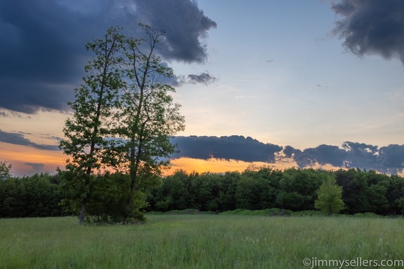 2022-06-01-bucktail-overlook-driftwood-278