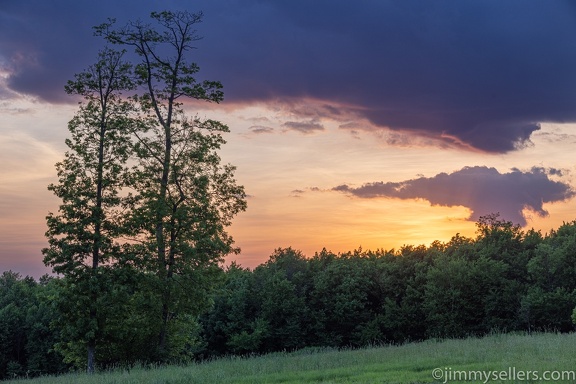 2022-06-01-bucktail-overlook-driftwood-317