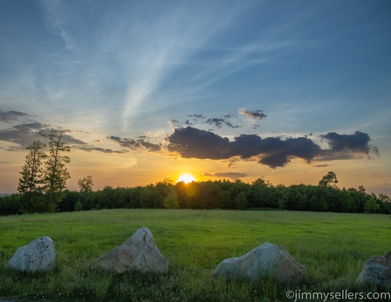 2022-06-01-bucktail-overlook-driftwood-323