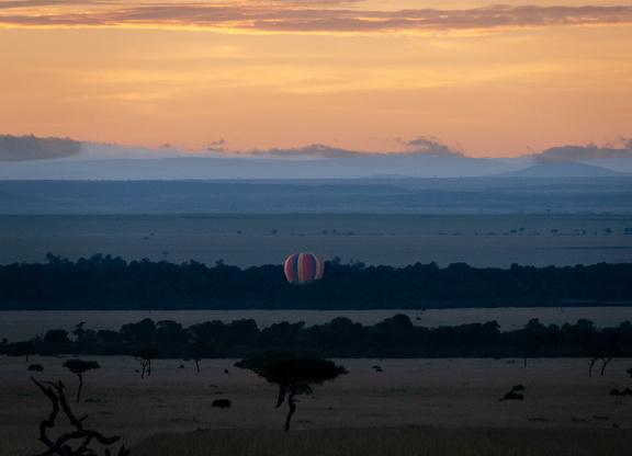 2026-Africa-250